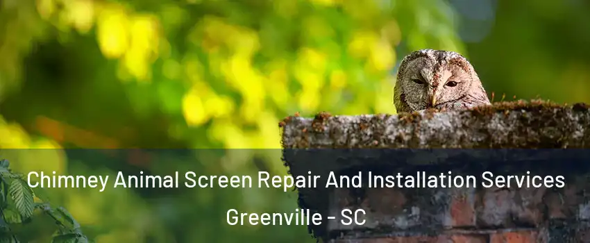  Chimney Animal Screen Repair And Installation Services Greenville - SC