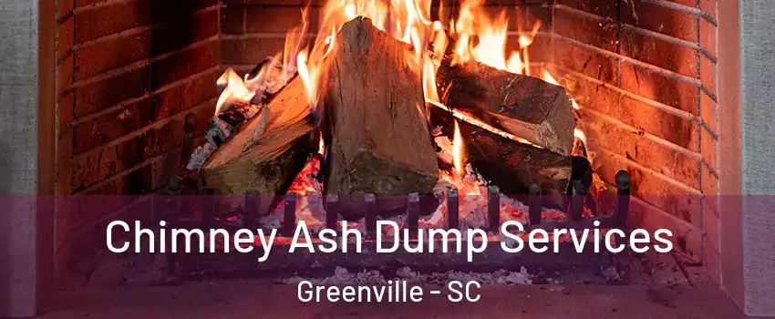  Chimney Ash Dump Services Greenville - SC