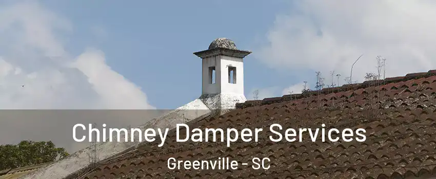  Chimney Damper Services Greenville - SC