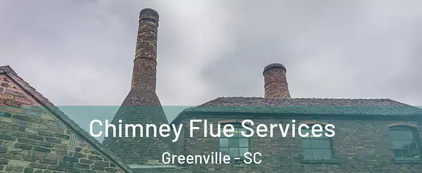  Chimney Flue Services Greenville - SC