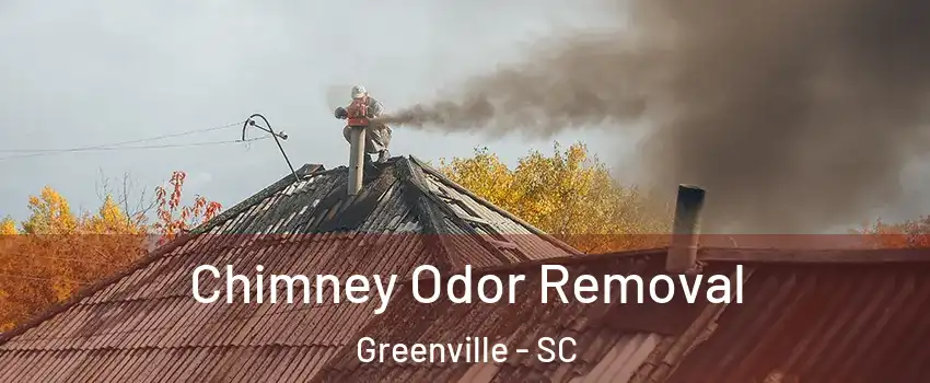  Chimney Odor Removal Greenville - SC