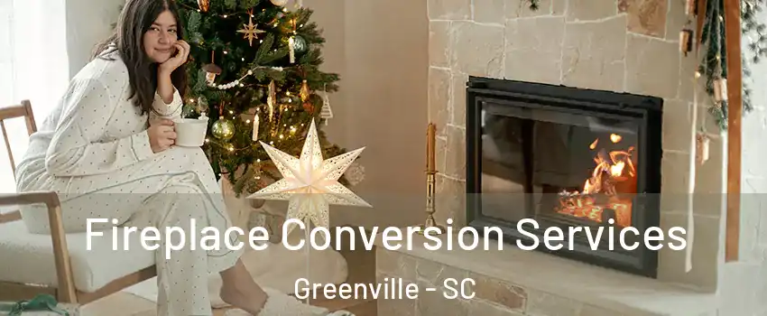  Fireplace Conversion Services Greenville - SC