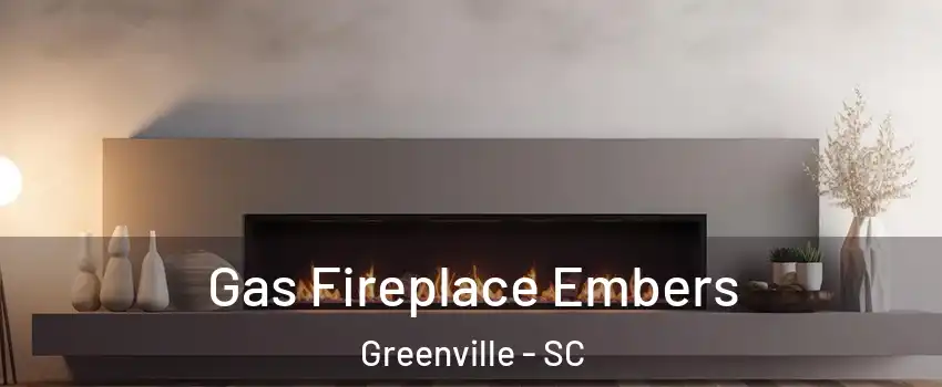  Gas Fireplace Embers Greenville - SC