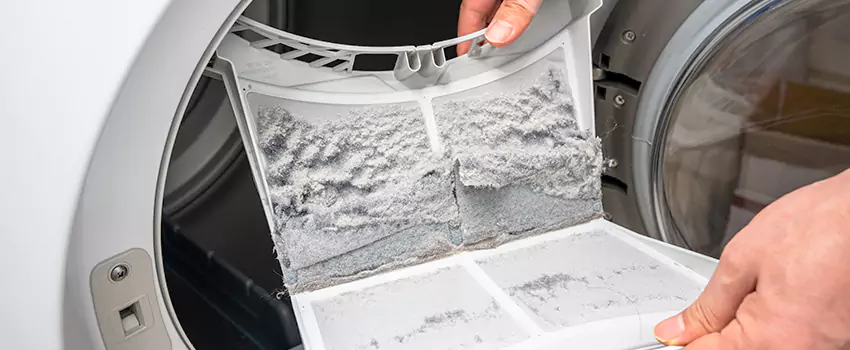 Best Dryer Lint Removal Company in Greenville, South Carolina