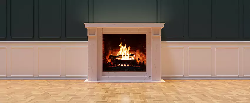 Napoleon Electric Fireplaces Inspection Service in Greenville, South Carolina
