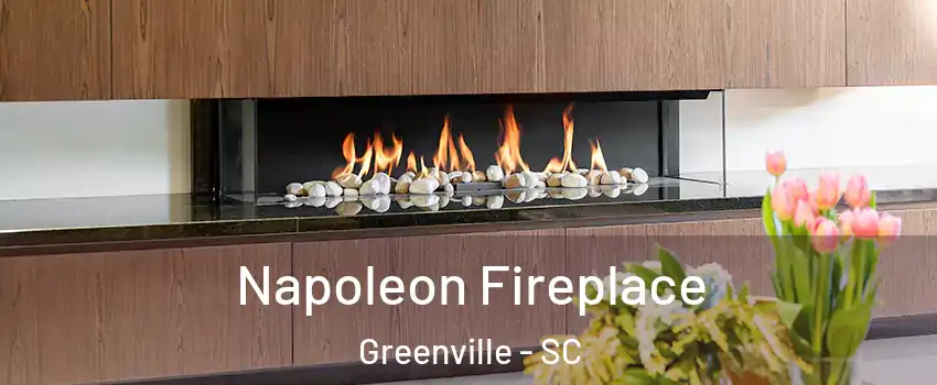  Napoleon Fireplace Greenville - SC